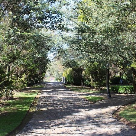 Hôtel Rancho San Antonio à Huasca de Ocampo Extérieur photo