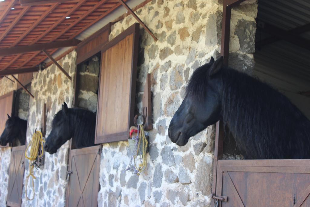 Hôtel Rancho San Antonio à Huasca de Ocampo Extérieur photo